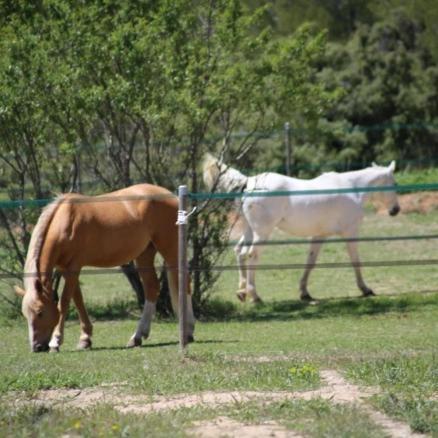 La Margottiere Chez Isa Et Titi Guest house Rians (Var)