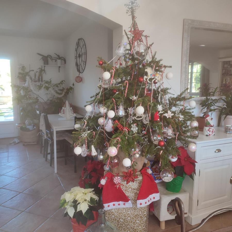 La Margottiere Chez Isa Et Titi * Rians (Var)