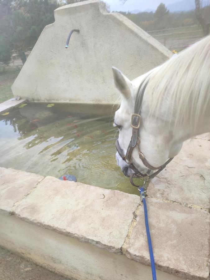 La Margottiere Chez Isa Et Titi Guest house