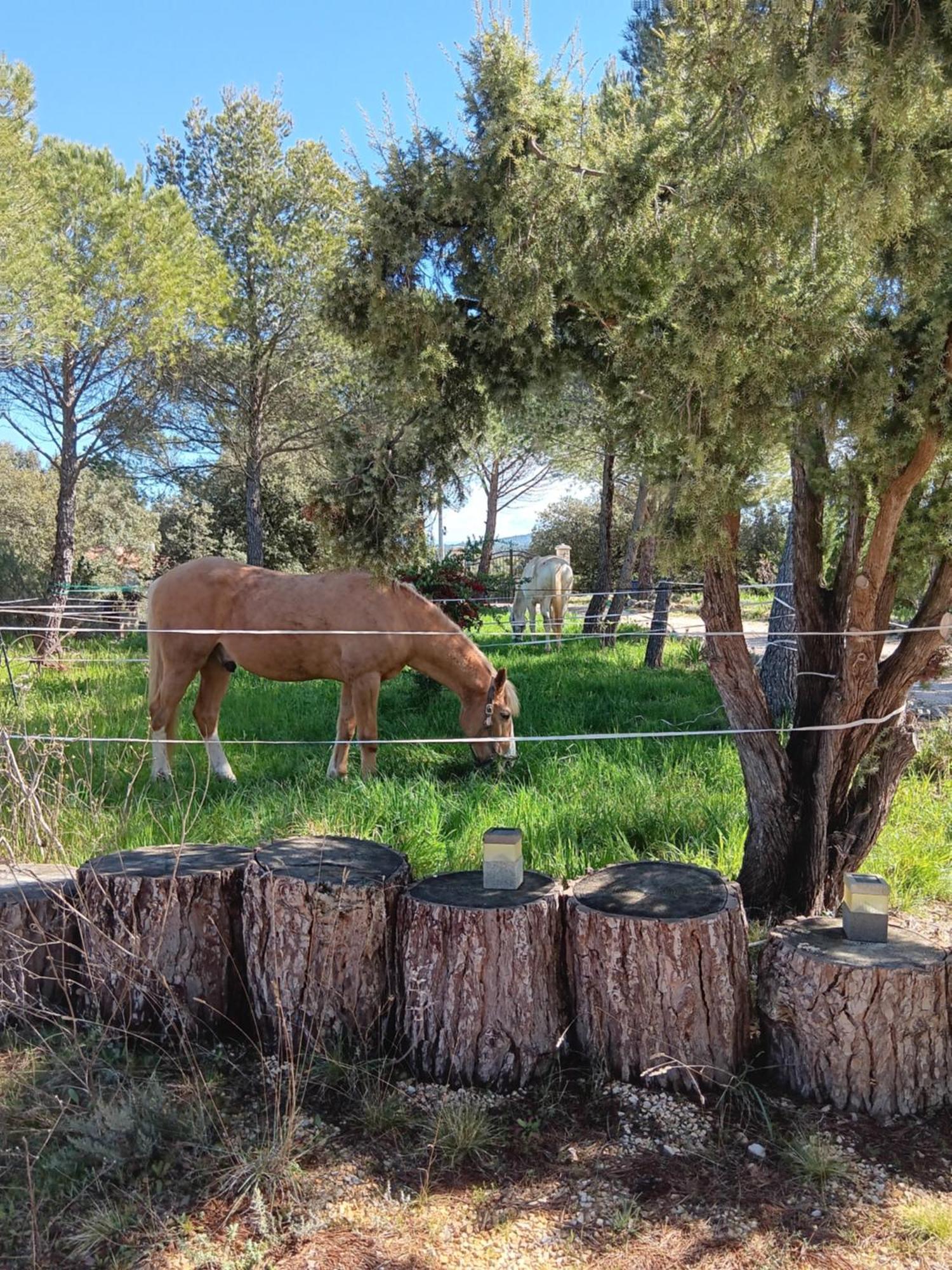 La Margottiere Chez Isa Et Titi Guest house