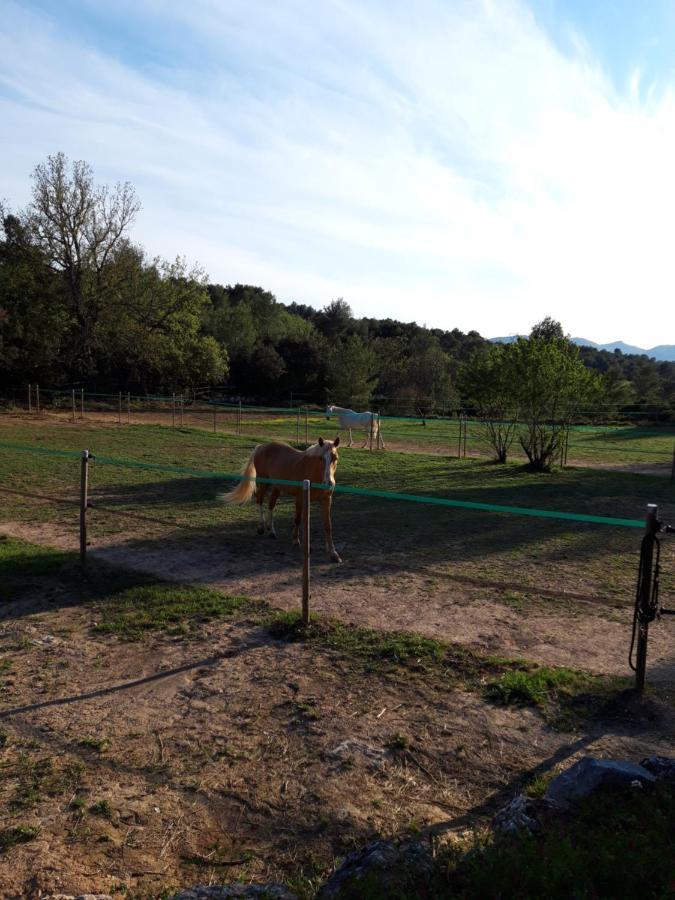Affittacamere La Margottière Chez Isa Et Titi *