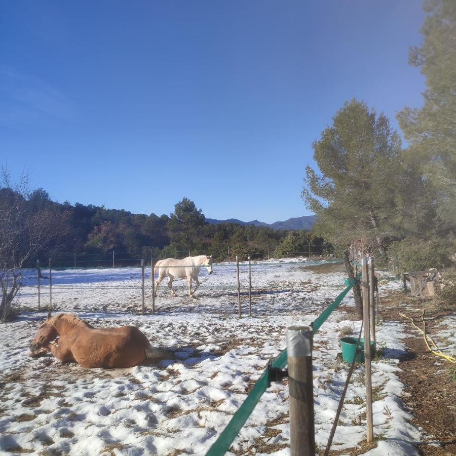 La Margottière Chez Isa Et Titi * Rians (Var)